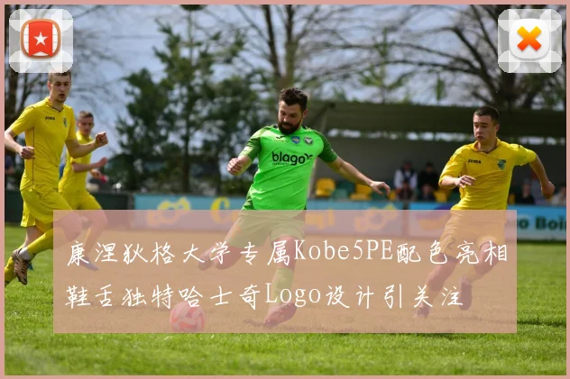 康涅狄格大学专属Kobe5PE配色亮相鞋舌独特哈士奇Logo设计引关注